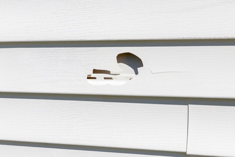 Repairing Vinyl Siding in Mount Juliet