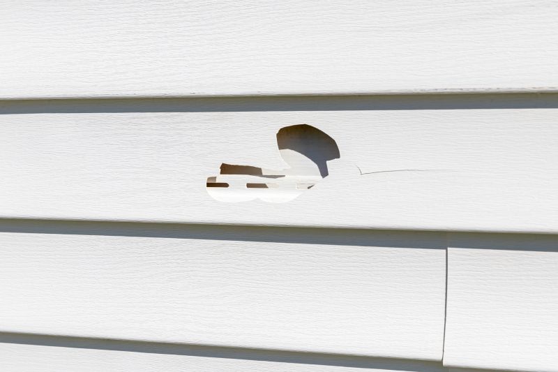 Vinyl Siding Repair Specialist in Mount Juliet